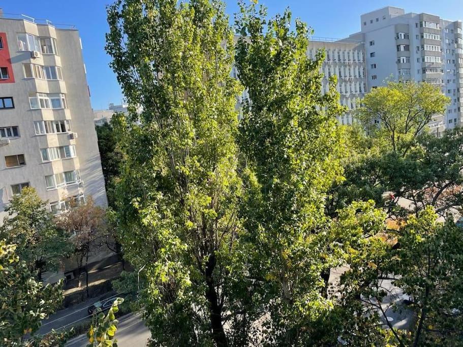 Apartamento Mav Bucarest Exterior foto